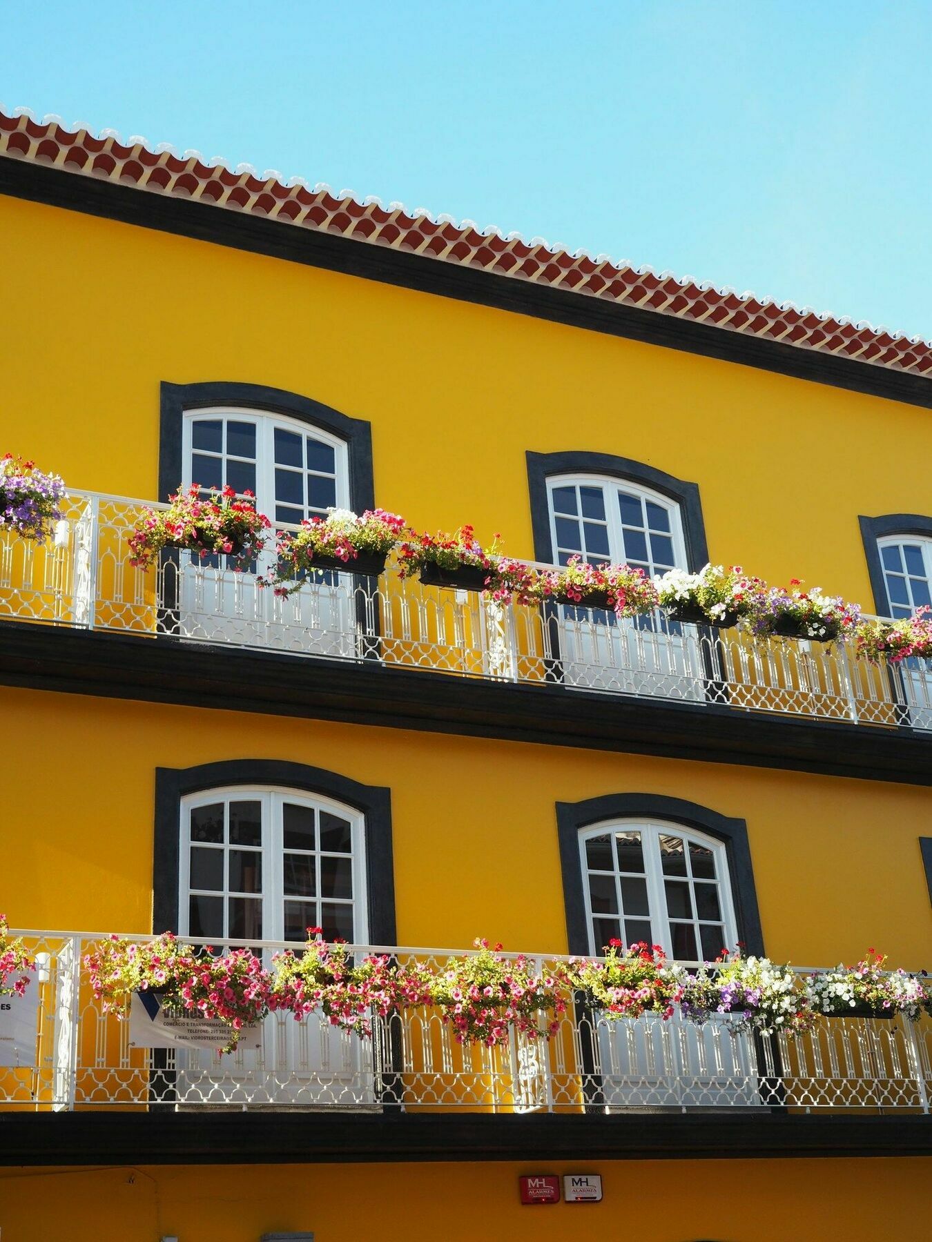 Globo Happy Hostel Angra do Heroismo Exterior photo