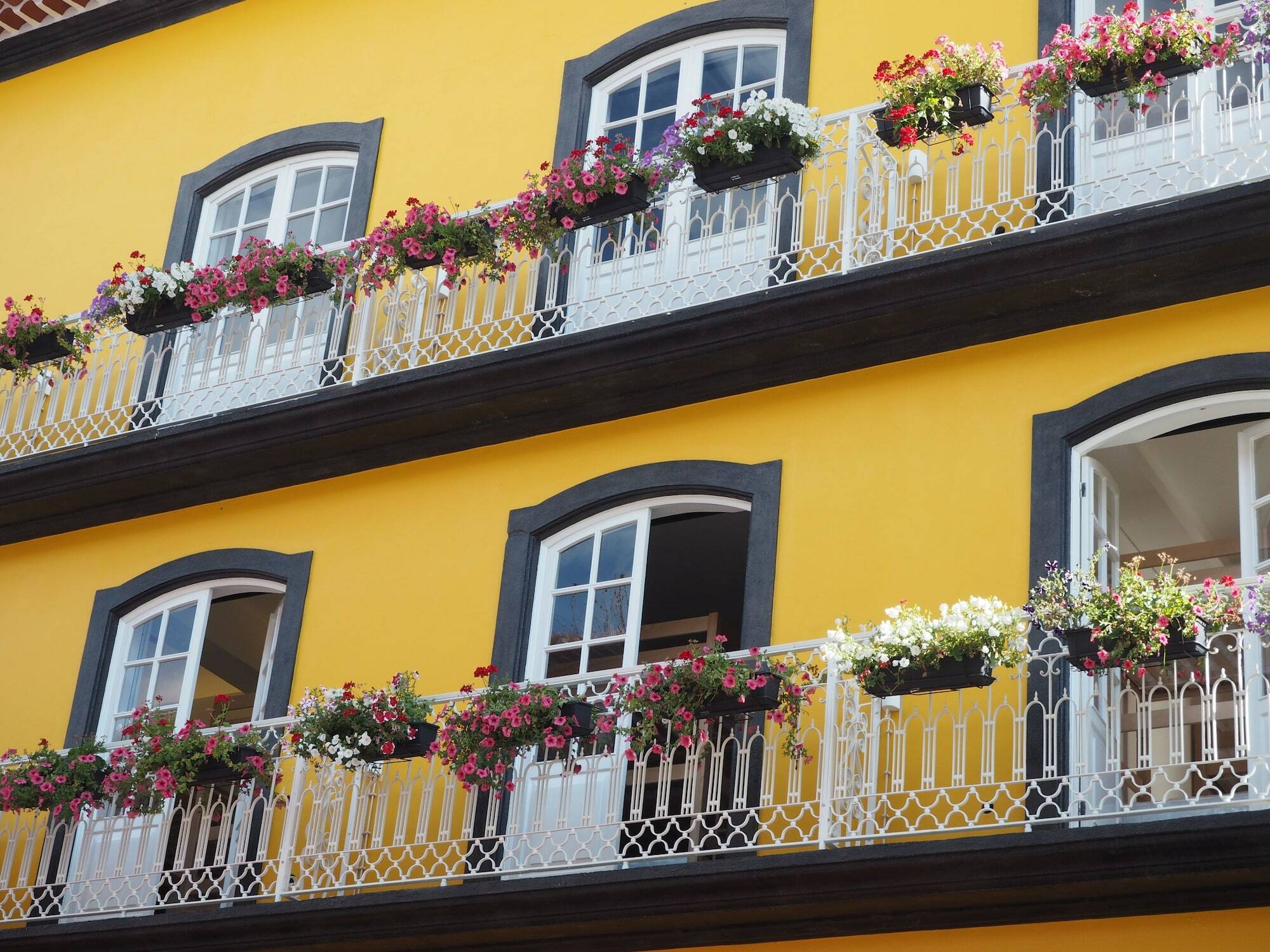Globo Happy Hostel Angra do Heroismo Exterior photo